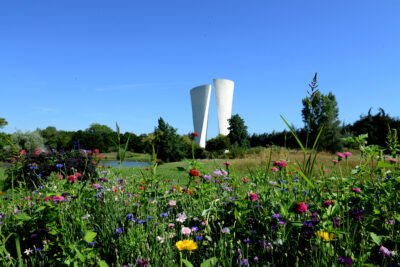 Agrandir l'image 2 sur 11, fenêtre modale