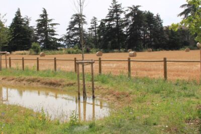 Agrandir l'image 6 sur 11, fenêtre modale