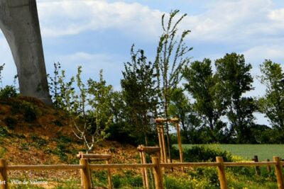 Agrandir l'image 11 sur 11, fenêtre modale